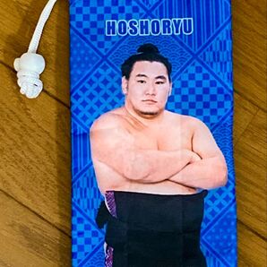 大相撲 豊昇龍 ペットボトルカバー