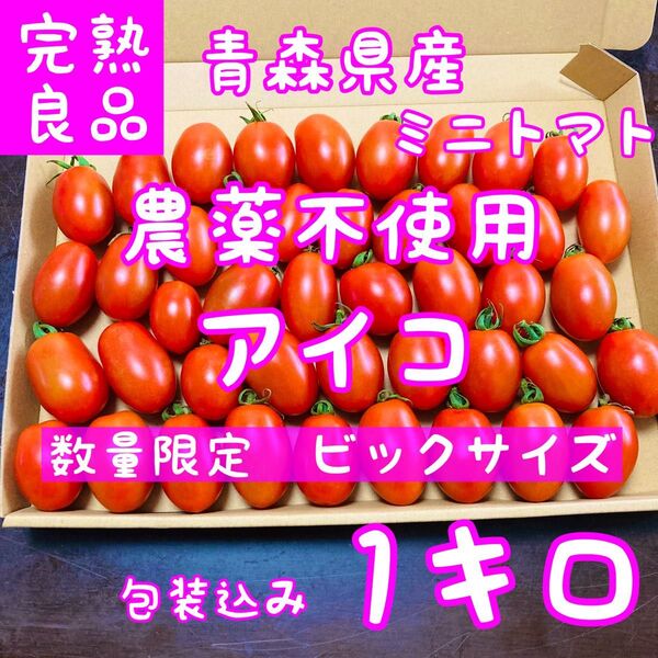 ビックサイズ 無農薬ミニトマト アイコ