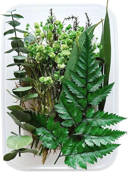 ドライフラワー花材 セット 押し花 ハンドメイド材料 レジン エポキシ樹脂