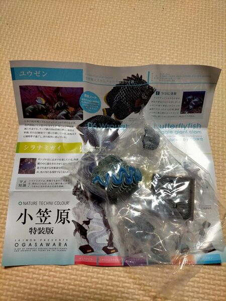 ネイチャーテクニカラー 小笠原 特装版 ユウゼン ガチャ フィギュア