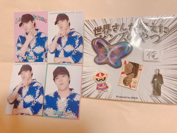 FANTASTICS メンプロ 世界 グッズ フォトカ ピンズ