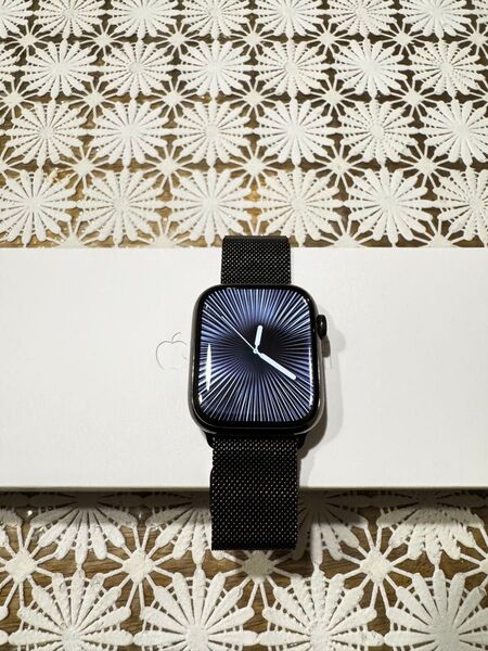 Apple Watch series8 45mmグラファイトステンレススチールケースミラネーゼループ 付属品全てあり