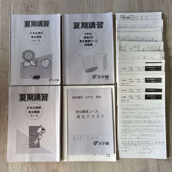 浜学園 小6 夏期講習 算数 理科 国語 テスト 演習 本 テキスト 塾 中学受験