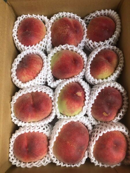 99.お買い得福島産 朝採り硬め桃箱込み3kg訳あり家庭用玉数お任せ常温便