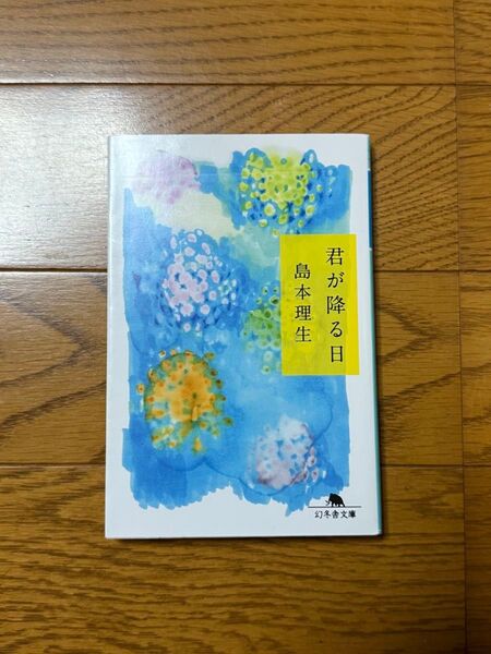 君が降る日 島本理生 幻冬舎文庫