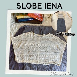 美品》イエナ スローブ 透かし編 サマーニット コットンニット SLOBE IENA プルオーバーセーター 総レース カットソー