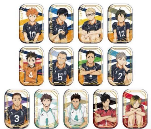 【新品未開封】ハイキュー!!スクエア缶バッジ おすわり セブンネット限定