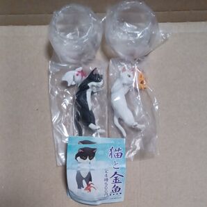 KITAN CLUB猫と金魚