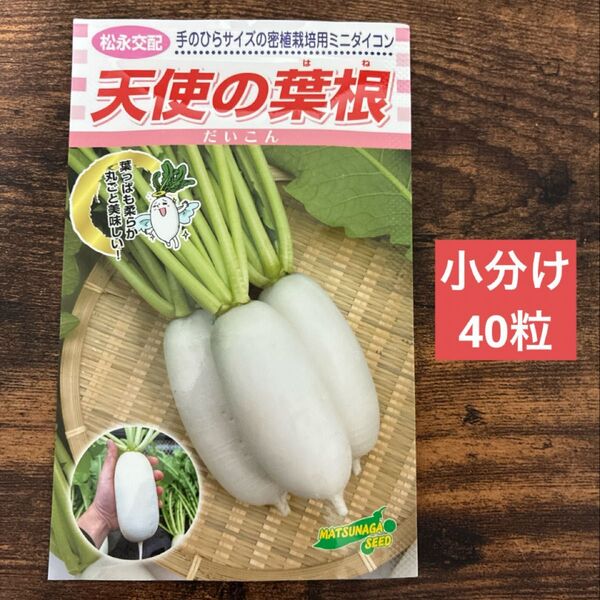 天使の葉根 40粒 野菜種 ミニ大根のタネ