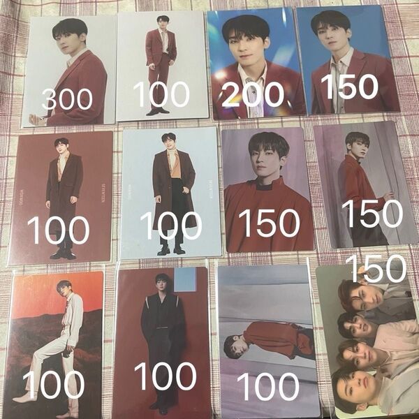 seventeen ウォヌ まとめ売り バラ売り専用