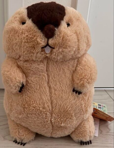 マーモットのもっとっと はまもと ぬいぐるみ