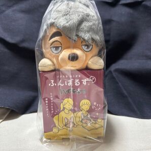 サムキツネ ふんばるず