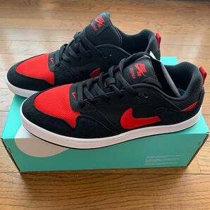 NIKE SB アリウープ 新品未使用