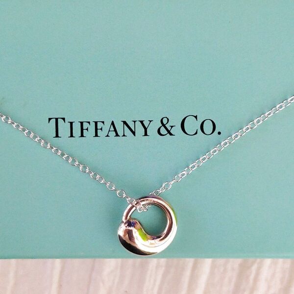 ティファニー サークル ネックレス エターナルサークル Tiffany シルバー TIFFANY Co