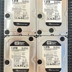 Western Digital WD1001FALS 1TB HDD 4台セット SATA WD