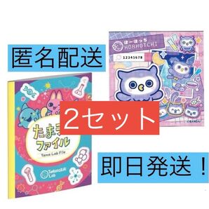 たまごっちパラダイス ほーほっち たまラボステッカー たまラボファイル 早期特典