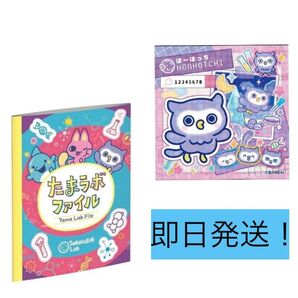 たまごっちパラダイス ほーほっち たまラボステッカー たまラボファイル 早期特典
