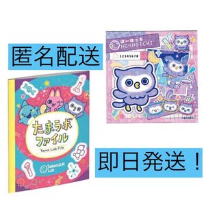 たまごっちパラダイス ほーほっち たまラボステッカー たまラボファイル 早期特典