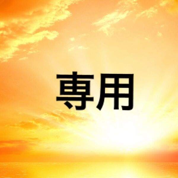 pap様 専用