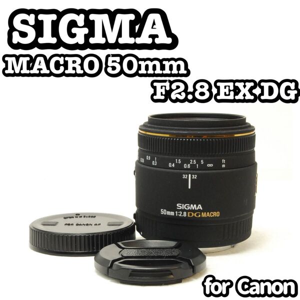 SIGMA 50mm F2.8 EX DG シグマ canon 単焦点レンズ デジタルカメラ デジタル一眼レフカメラ デジカメ