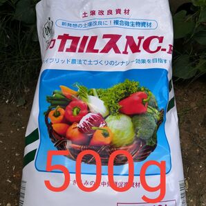 ラスト! 強力カルスNC-R 粉状 500g