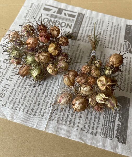 ドライフラワー ニゲラ 50 スワッグ ハンドメイド 花材