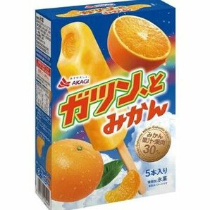 赤城乳業 ガツンとみかん エガチャンネル キャンペーン 応募バーコード ハガキ