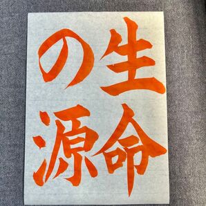 JA共済書道コンクール お手本