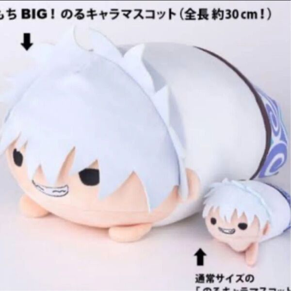 坂田銀時 もちもちBIG!のるキャラマスコット 銀魂 のるキャラマスコット もちマス もちころりん ぬいぐるみ