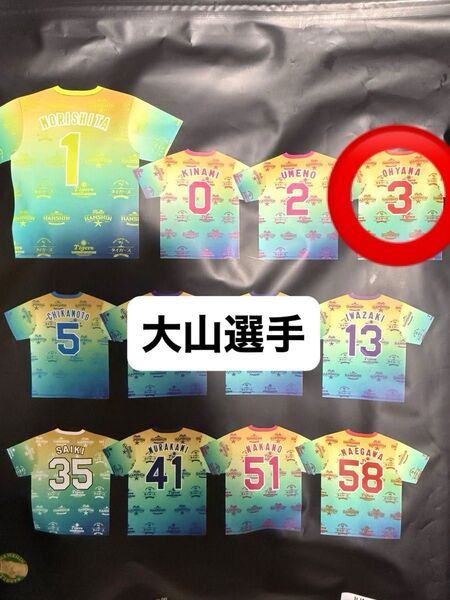 阪神タイガーストロピカルTシャツ 大山選手