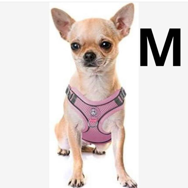 新品犬用ハーネス Mサイズソフトメッシュ ピンク 子犬用ハーネスリードセット