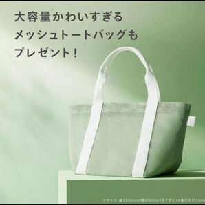 Nオーガニック メッシュトートバッグ グリーン