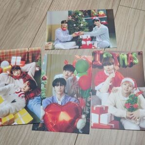 2024年n.SSignシーグリポストカードセット