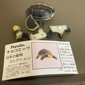 チョコエッグ ヤエヤマセマルハコガメ