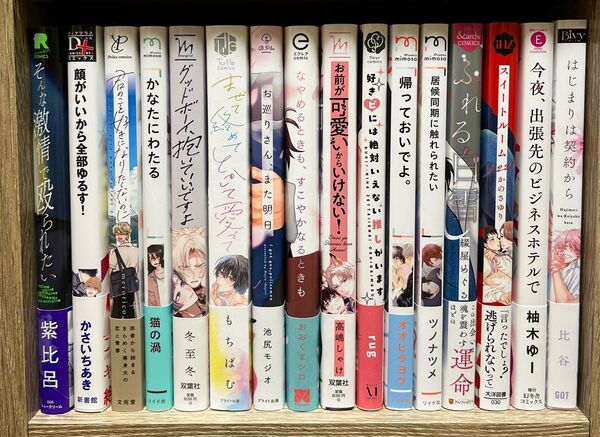 バラ売り可 1冊480円〜 新品購入一読済み BLコミック