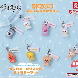 skzoo めじるしアクセサリー セミコンプ