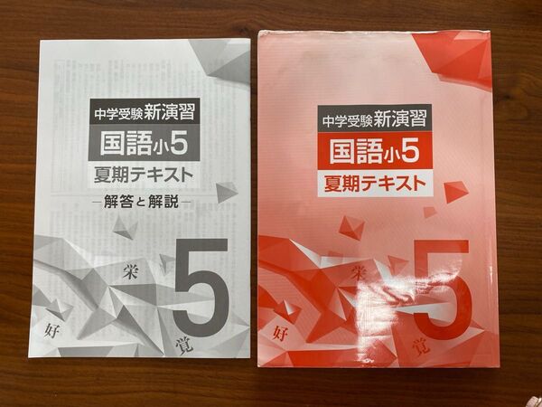 中学受験新演習 国語小5 夏期テキスト 夏休み