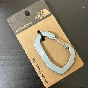 新品 ザノースフェイス カラビナ グレー 日本未発売