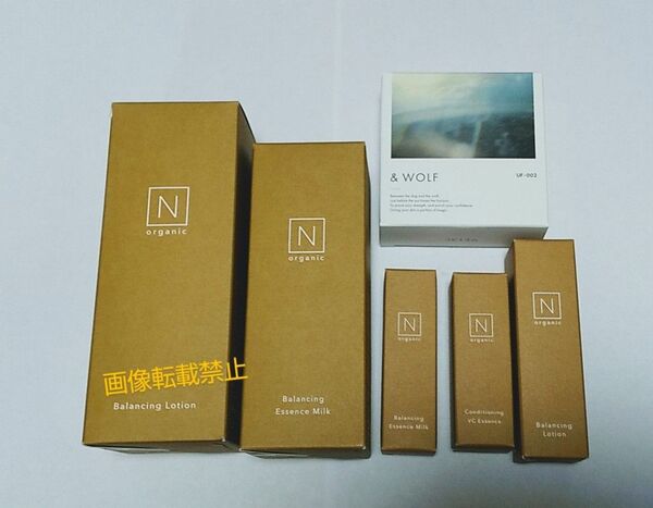 N organic basic エヌオーガニック ベーシック スキンケア 6点セット