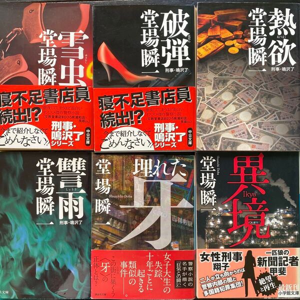 堂場瞬一 刑事・鳴沢了 埋れた牙 異境 傑作警察小説6冊セット