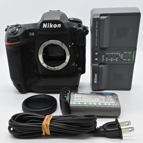 Nikon D5 ボディ CF-Type ショット数 89189