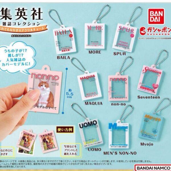 ガチャガチャ 集英社 セブンティーン 雑誌コレクション【新品未開封】