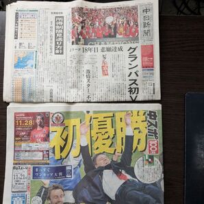 中日新聞と中日スポーツセット 2010年11月21日発行 2部セット 名古屋グランパス 優勝