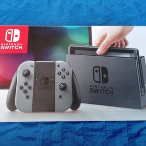 Nintendo Switch ニンテンドースイッチ 旧型 グレー
