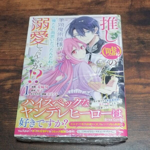 推し〈嘘〉の筆頭魔術師様が「俺たち、両思いだったんだね」と溺愛してくるんですが!? 1