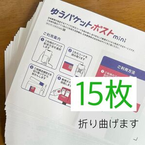 ゆうパケットポストmini専用封筒15枚 折り紙1枚