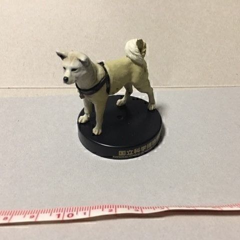 海洋堂 ハチ公 秋田犬 国立科学博物館 ガチャ 天然記念物 フィギュア ミニブックあり