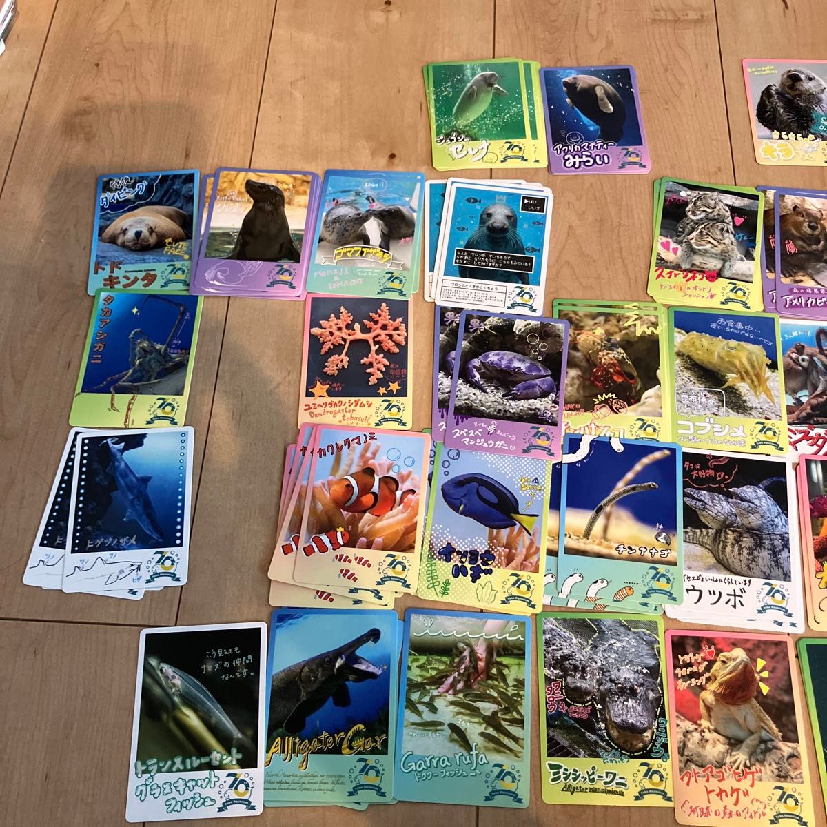 【入手難】新品 鳥羽水族館 コレクションカード×10パック 入手難】鳥羽水族館 コレクションカード×10パック 新品|Yahoo