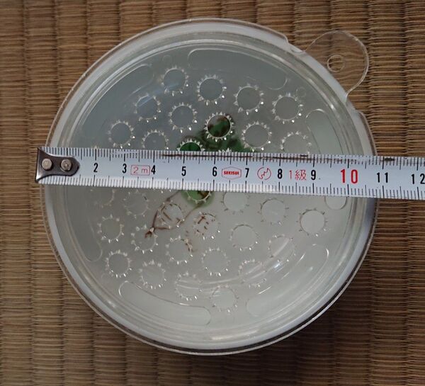 たち吉 おろし器