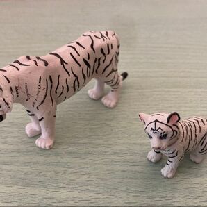 アニア ホワイトタイガー親子セット